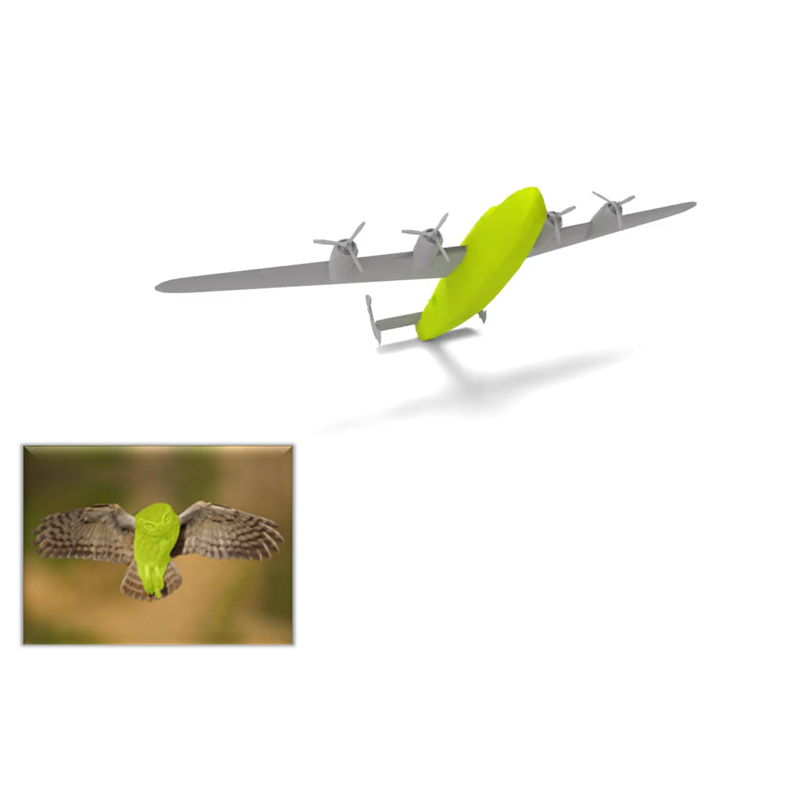 Best Segmentation Buddies for Image-Shape Correspondence